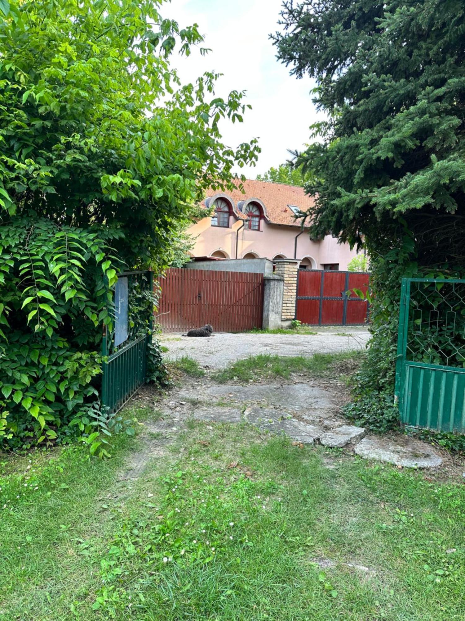 Vila Regina Palić Zimmer foto
