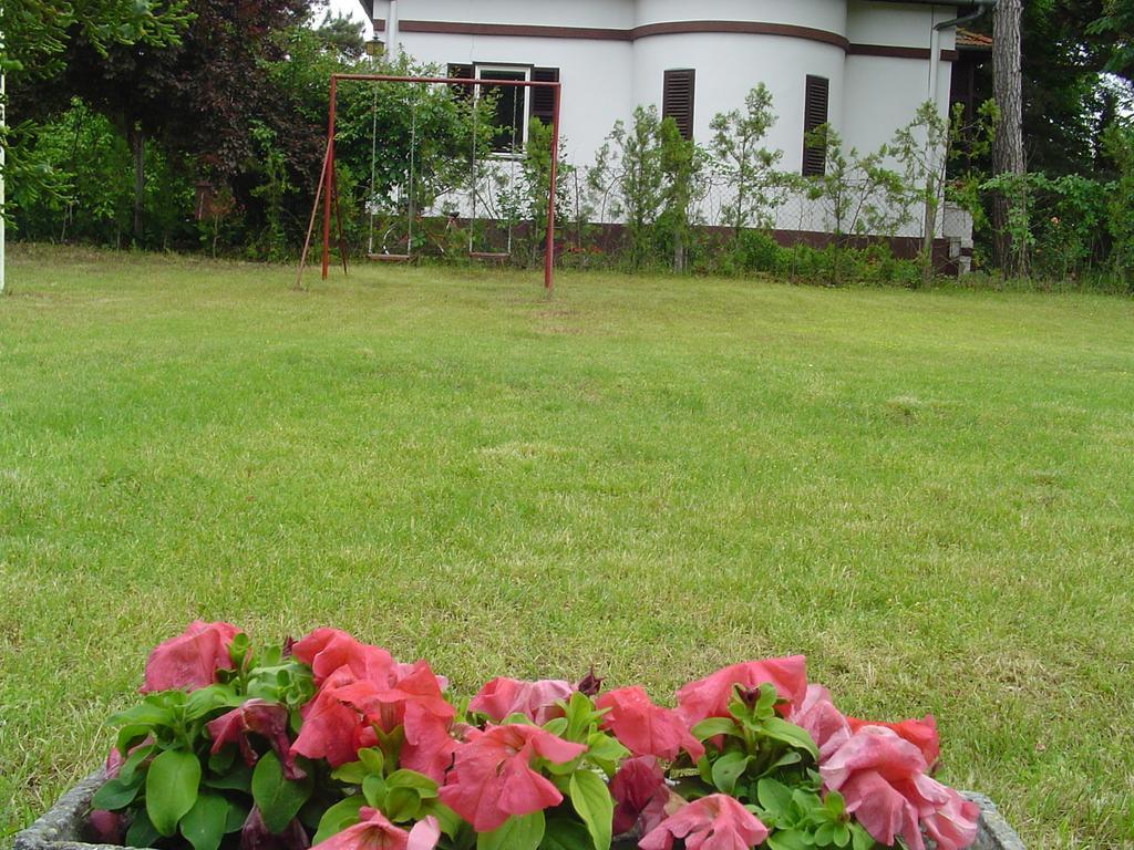 Vila Regina Palić Zimmer foto